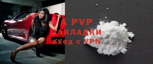ГАЛЛЮЦИНОГЕННЫЕ ГРИБЫ Вязьма
