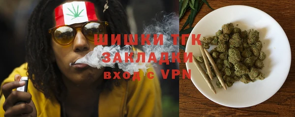 ГАЛЛЮЦИНОГЕННЫЕ ГРИБЫ Вязьма