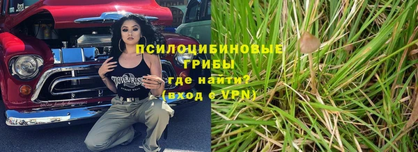 ГАЛЛЮЦИНОГЕННЫЕ ГРИБЫ Вязьма