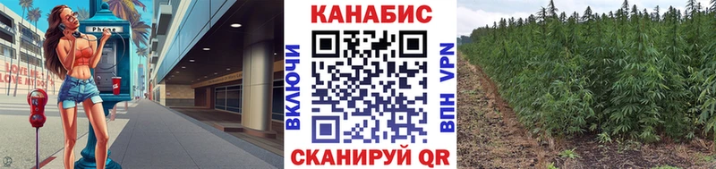 МАРИХУАНА AK-47  как найти закладки  Новосибирск 